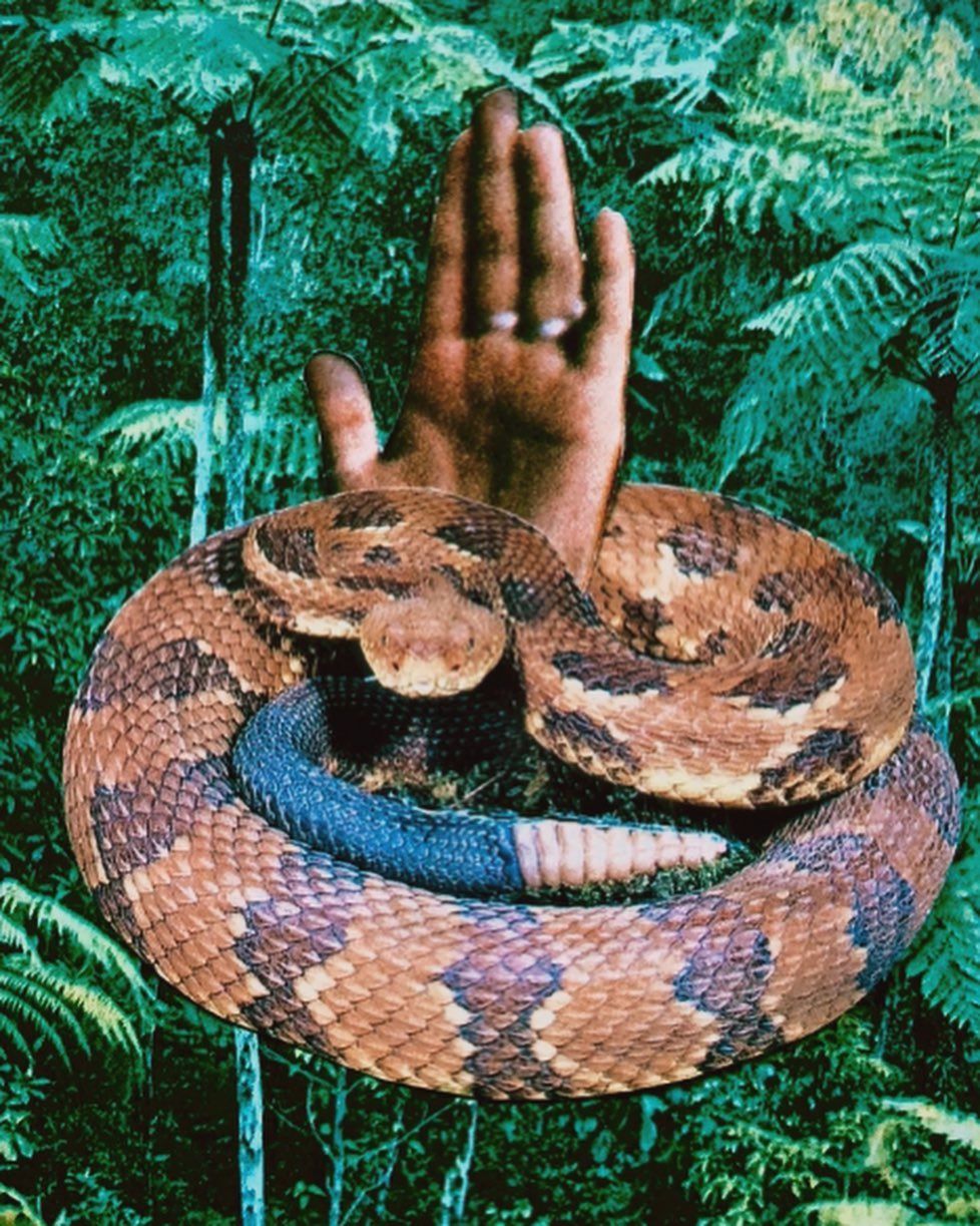 Pre ashram mood: fuck Rishikesh