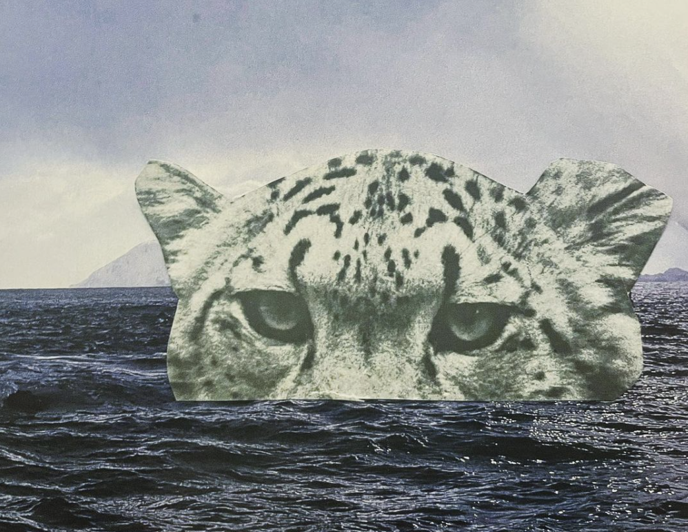 Why > How: know your purpose and the rest will follow.