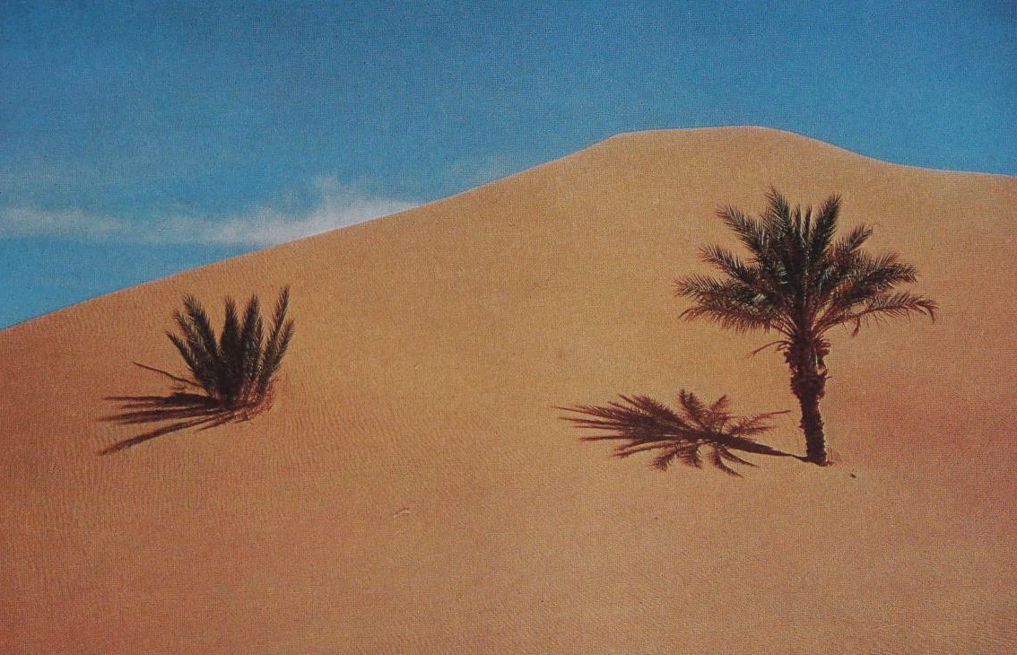 Aims > goals: How to trust your own word in times of uncertainty.